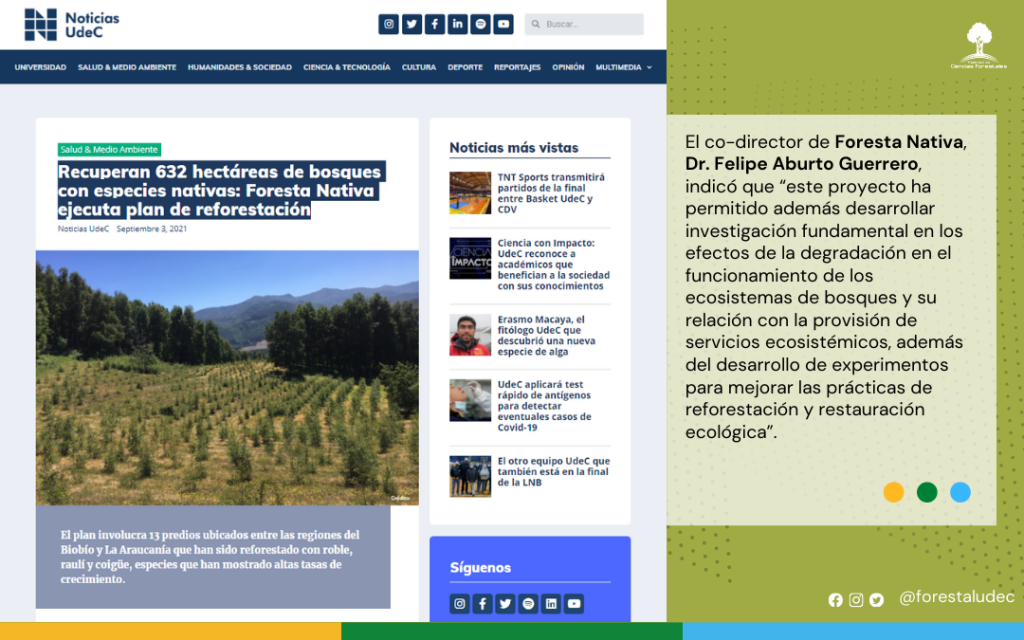 Recuperan 632 hectáreas de bosques con especies nativas: Foresta Nativa ejecuta plan de reforestación