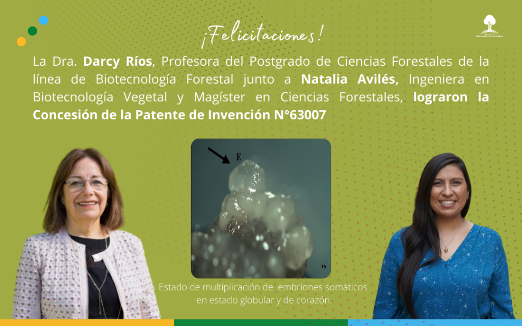 Dra. Darcy Ríos junto a Natalia Avilés, Magíster en Cs. Forestales, reciben “Concesión de la Patente de Invención N°63007”