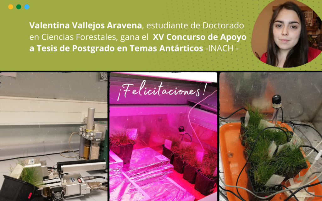 Estudiante de Doctorado en Ciencias Forestales, gana el  XV Concurso de Apoyo a Tesis de Postgrado en Temas Antárticos -INACH –