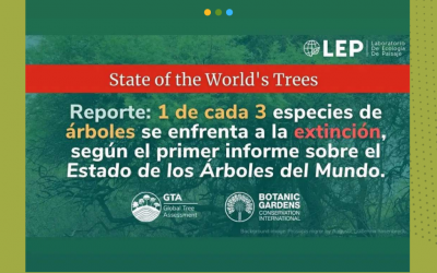 Botanic Gardens Conservation International publica Global Trees Assessment y concluye que el 30% de los árboles están en peligro de extinción
