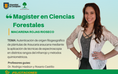 Macarena Rojas Rioseco es nuestra nueva Magíster en Ciencias Forestales.