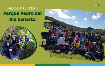 En Ciencias Forestales UdeC se aprende de la naturaleza.