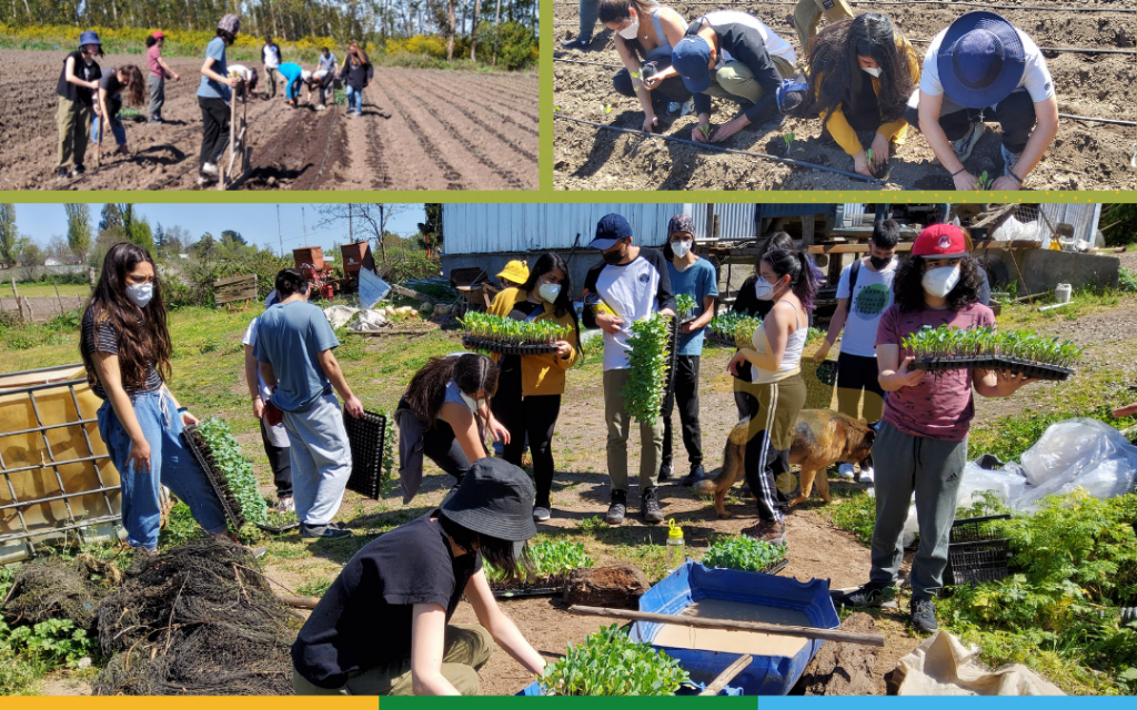 “Aprendiendo-Haciendo” en Fundamentos de la Producción Vegetal 
