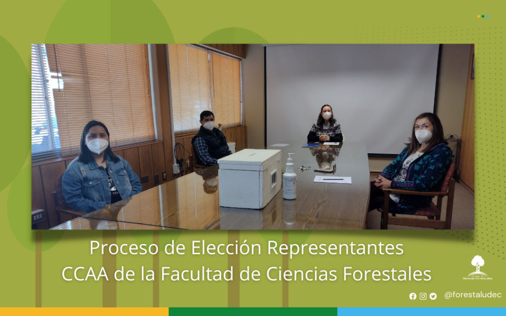 Proceso elección representantes del CCAA de la Facultad