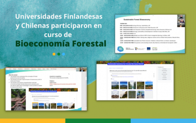 Universidades Finlandesas y Chilenas realizaron un curso de Bioeconomía Forestal: “Sustainable Solutions for Circular Bio-based World”