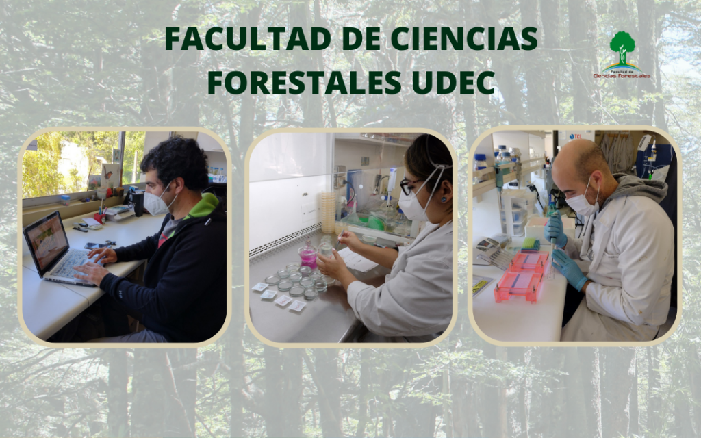 Continuamos nuestras actividades con normalidad