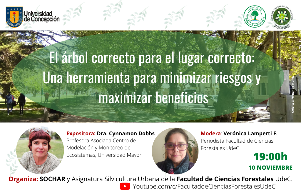 IV Café SOCHAR:  El árbol correcto para el lugar correcto: Una herramienta para minimizar riesgos y maximizar beneficios