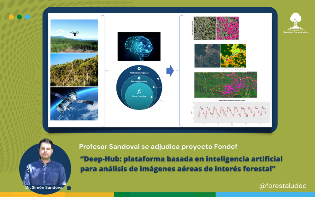 Plataforma web basada en Inteligencia artificial procesará imágenes aéreas de interés forestal 