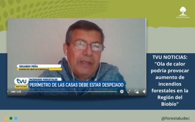 TVU NOTICIAS: entrevista al profesor Eduardo Peña por ola de calor e incendios forestales
