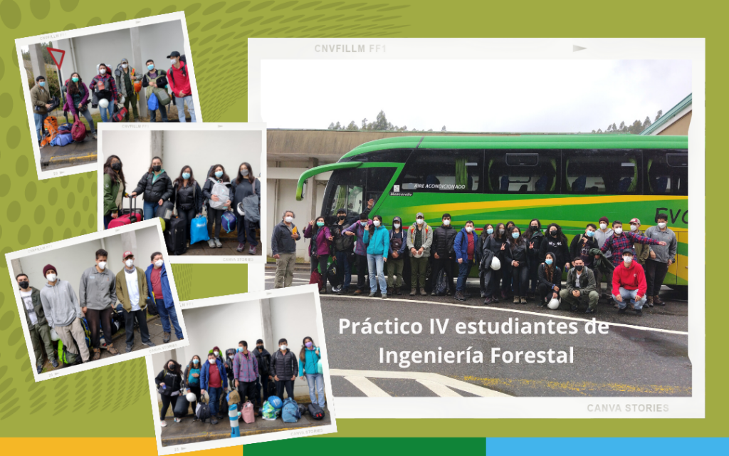 Ingeniería Forestal realizarán su práctica IV, en el Fundo Escuela Ranchillo Alto