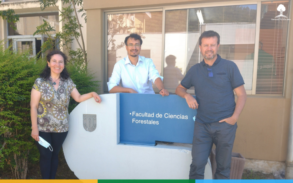 Docentes de Ciencias Forestales UdeC se suman a Cenamad apoyando línea de investigación de “Sustentabilidad y Productividad Forestal”