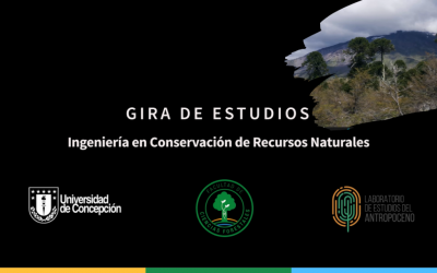 Gira Virtual del Estudios ICRN 2021