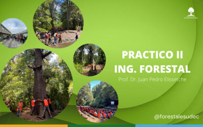 Ingeniería Forestal: Práctico II