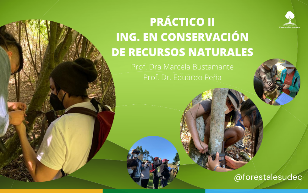 Ingeniería en Conservación de Recursos Naturales: Práctico II