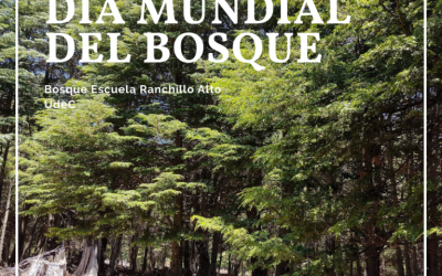 En el Día Internacional del Bosque la Facultad de Ciencias Forestales se suma al llamado de la ONU