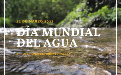 En el Día Mundial del Agua la Facultad de Ciencias Forestales hace un llamado a reflexionar sobre los problemas de escasez