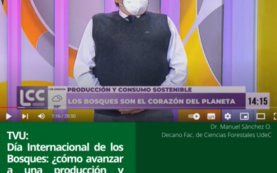 TVU: Día Internacional del Bosque