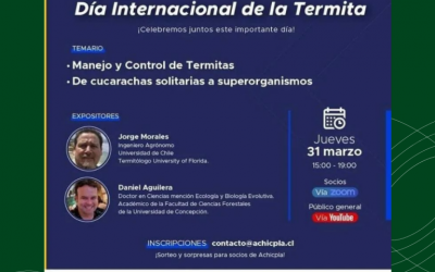 Celebración del Día Internacional de la termita