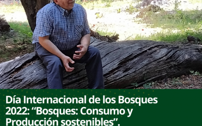 EDITORIAL FCF: Día Internacional de los Bosques 2022: “Bosques: Consumo y Producción sostenibles”