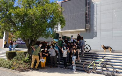 Árboles Patrimoniales UdeC