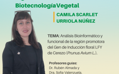Camila Urriola Núñez, nueva Ing. en Biotecnología Vegetal