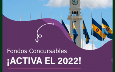 Información del proyecto Docencia en Red (UCO 20102).