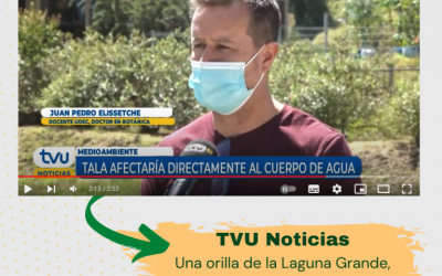 TUV Noticias: Una orilla de la Laguna Grande en San Pedro de la Paz será reforestada con árboles nativos