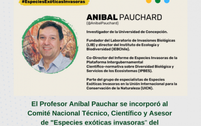 Profesor Pauchard se incorporó al Comité Nacional Técnico, Científico y Asesor de “Especies exóticas invasoras” del @MMAChile