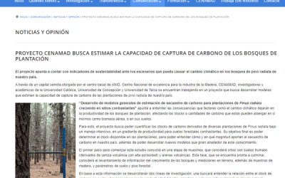 NOTICIA CENAMAD: Proyecto CENAMAD busca estimar la capacidad de captura de carbono de los bosques de plantación