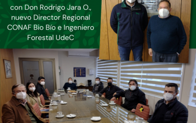 Nuevo Director de Conaf BioBío es ex alumno de Ingeniería Forestal UdeC
