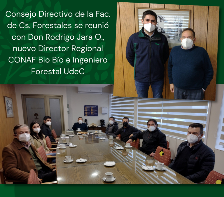 Nuevo Director de Conaf BioBío es ex alumno de Ingeniería Forestal UdeC