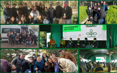 18° Trawü Forestal