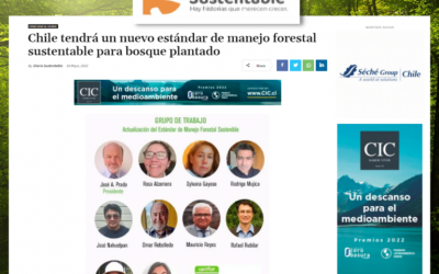 Chile tendrá un nuevo estándar de manejo forestal sustentable para bosque plantado