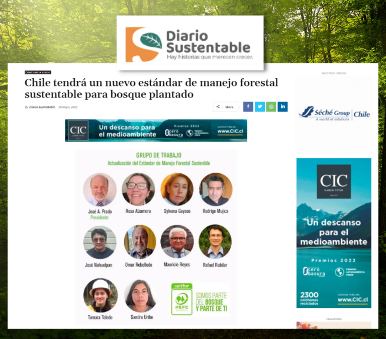 Chile tendrá un nuevo estándar de manejo forestal sustentable para bosque plantado