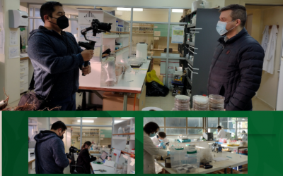 Preparativos proceso de reacreditación Doctorado en Ciencias Forestales