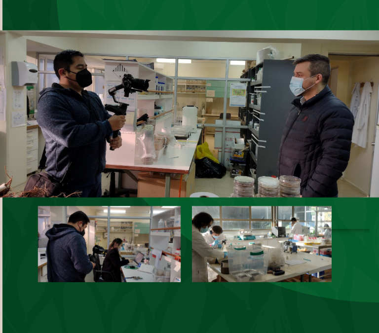 Preparativos proceso de reacreditación Doctorado en Ciencias Forestales