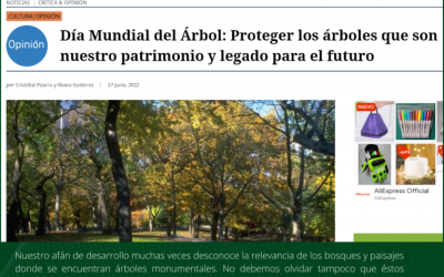 Día Mundial del Árbol: Proteger los árboles que son nuestro patrimonio y legado para el futuro