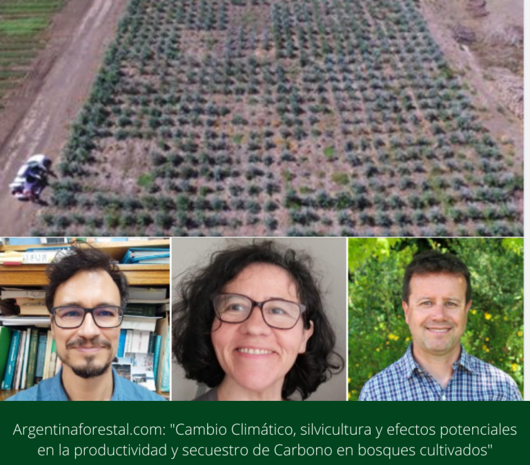 Argentinaforestal.com: Cambio climático, silvicultura y efectos potenciales en la productividad y secuestro de carbono en bosques cultivados