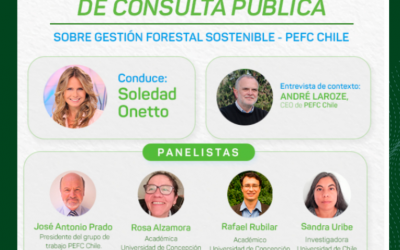 PEFC Chile: Presentación y Panel de Consulta Pública