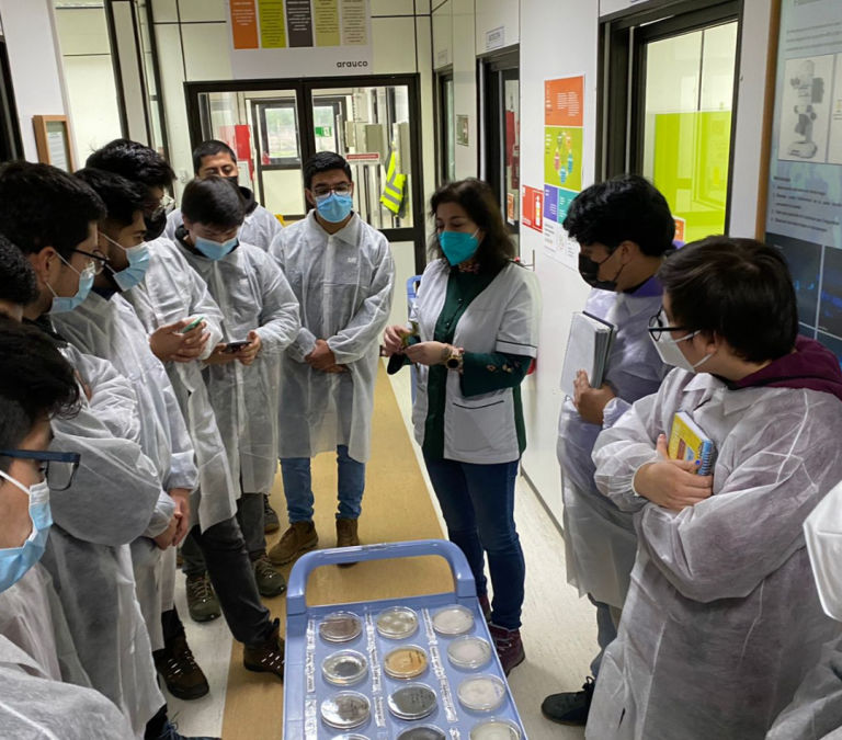 Estudiantes de Ingeniería Forestal visitaron Bioforest