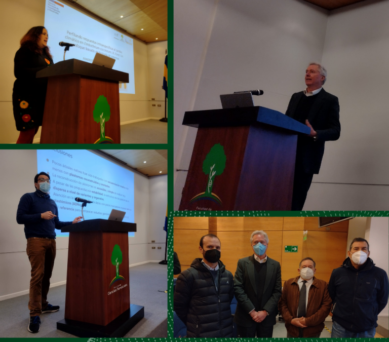 Actividades de David Boshier en Ciencias Forestales UdeC