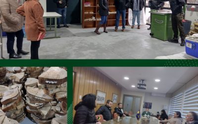 Triada Corma, Centro de Biotecnología y Fac. de Cs. Forestales