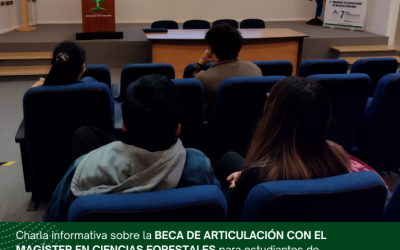 Beca articulación con Magíster de Ciencias Forestales