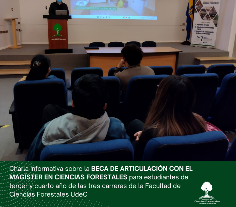 Beca articulación con Magíster de Ciencias Forestales