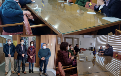 Municipalidad de Concepción y Ciencias Forestales realizarán proyecto piloto de arbolado urbano en Barrio Norte
