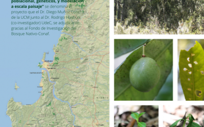 Dr. Hasbún realizará investigación en el marco del Fondo de Investigación del Bosque Nativo-Conaf