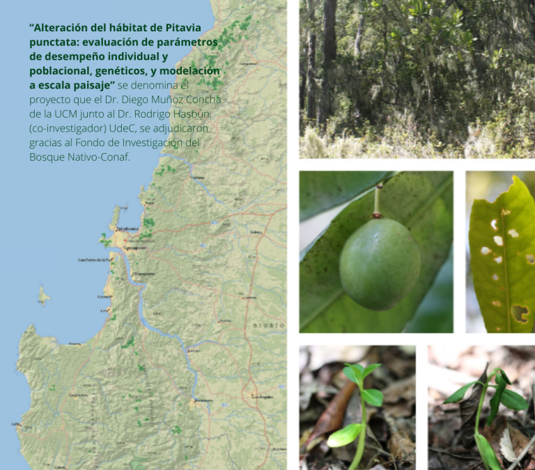 Dr. Hasbún realizará investigación en el marco del Fondo de Investigación del Bosque Nativo-Conaf