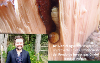 Dr. Daniel Aguilera se adjudicó un proyecto en el XIII Concurso del Fondo de Investigación del Bosque Nativo.