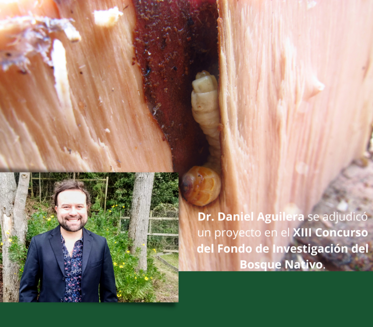 Dr. Daniel Aguilera se adjudicó un proyecto en el XIII Concurso del Fondo de Investigación del Bosque Nativo.