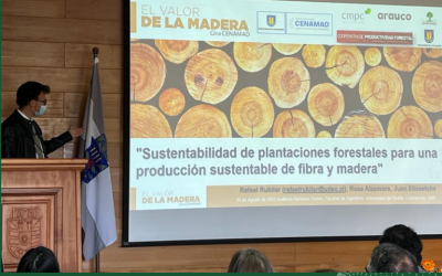 Dr. Rubilar expuso en “El Valor de la Madera”